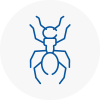 Ant Removals In Folkestone
