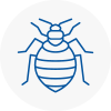 Bed Bug Extermination In Folkestone