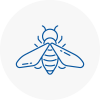 Bee Nest Removal Folkestone