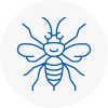 Folkestone Hornet Nest Removals