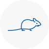 Mice Exterminators In Folkestone