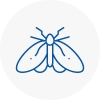 Moth Control Specialists In Folkestone