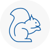 Folkestone Rodent Removals